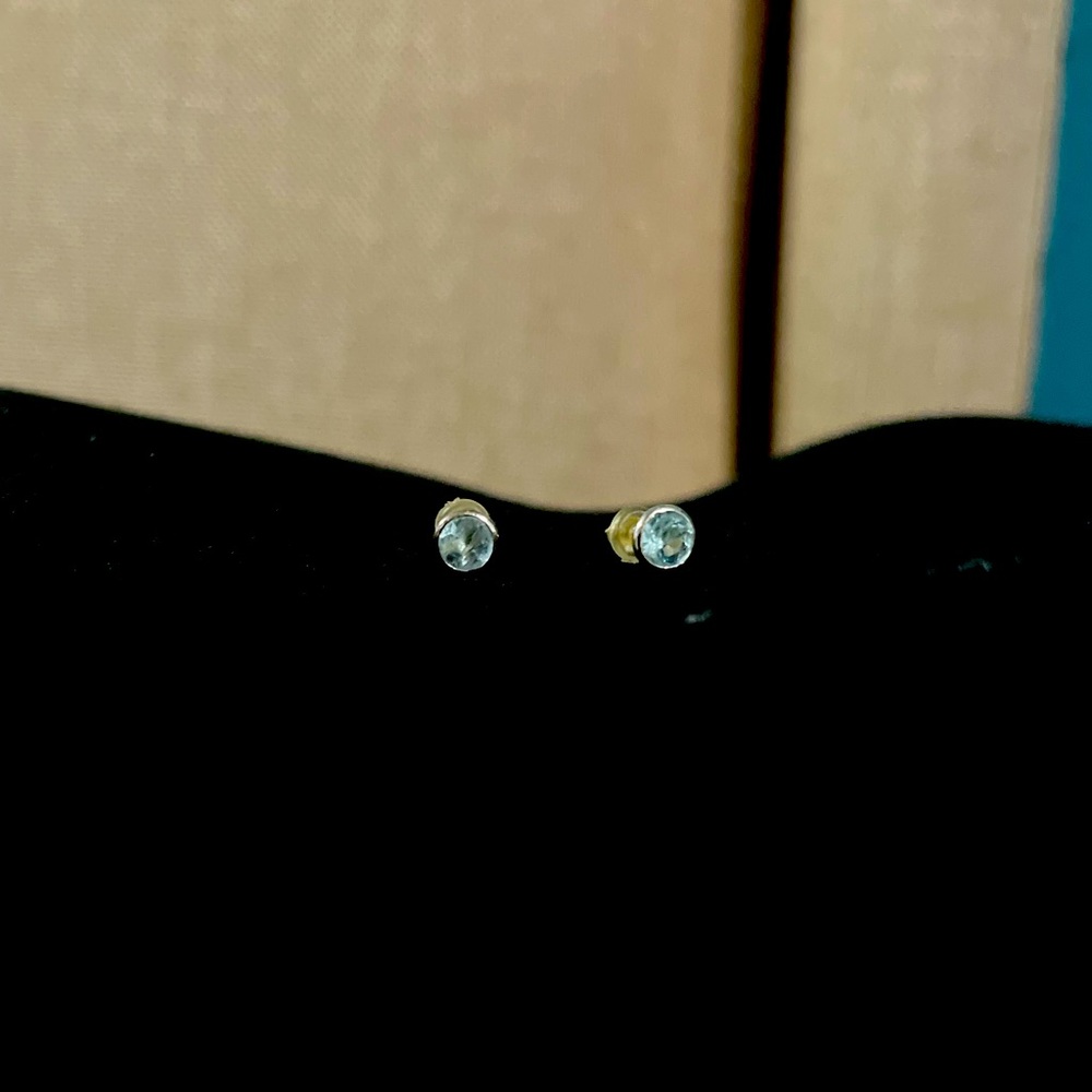 Argento Vivo Blue stone Earrings